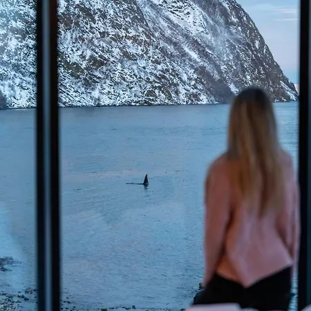 Lyngen Aurora