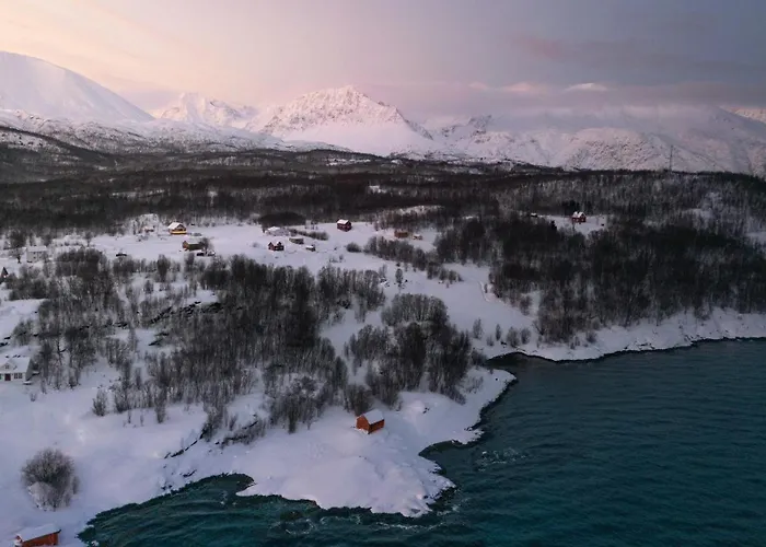 Lyngen Aurora * Koppangen
