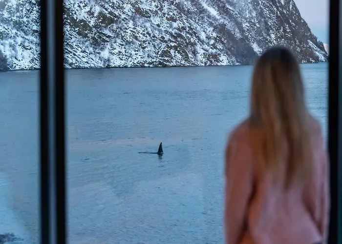 Lyngen Aurora